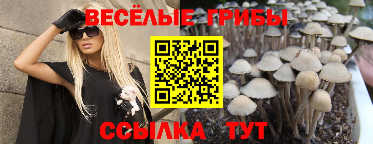 Галлюциногенные грибы Magic Shrooms  Вход с VPN  Ивантеевка 